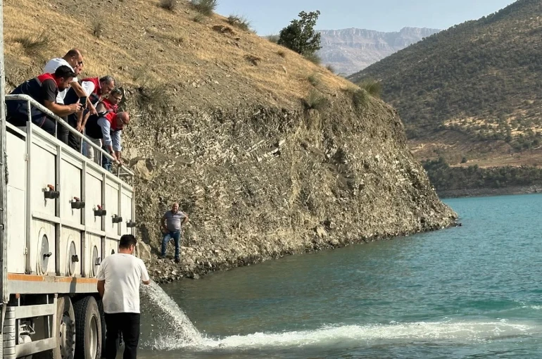 Siirt’te baraj gölü balıklandırıldı 