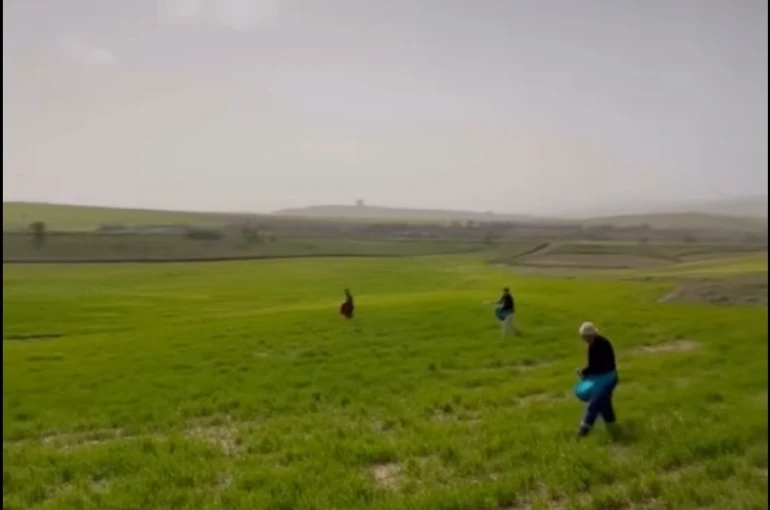 Siirt’te çiftçilerden zorlu mesai: Gübreleme eski usulle yapıldı