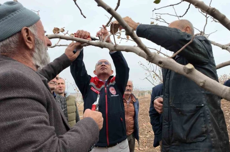 Siirt’te fıstık üreticilerine teorik ve pratik ‘budama’ ile ‘gübreleme’ eğitimi 