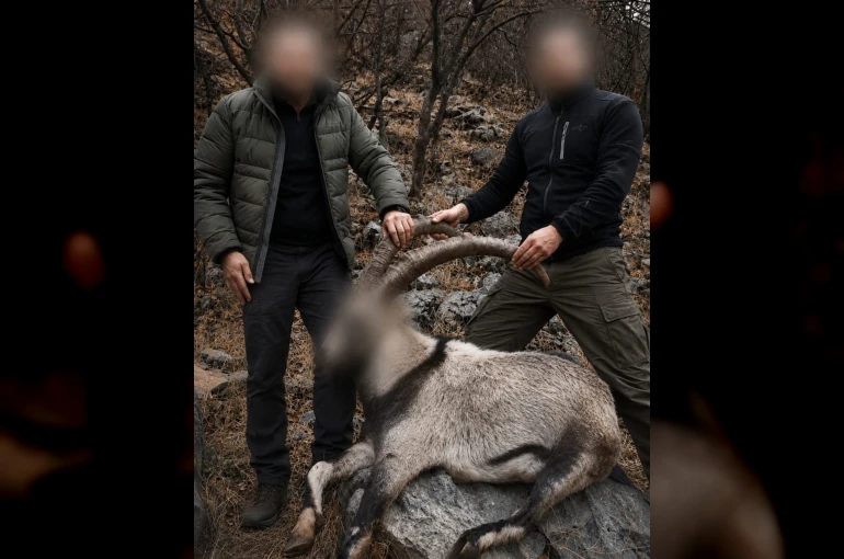 Siirt’te koruma altındaki 5 yaban keçisini avlayanlara ceza