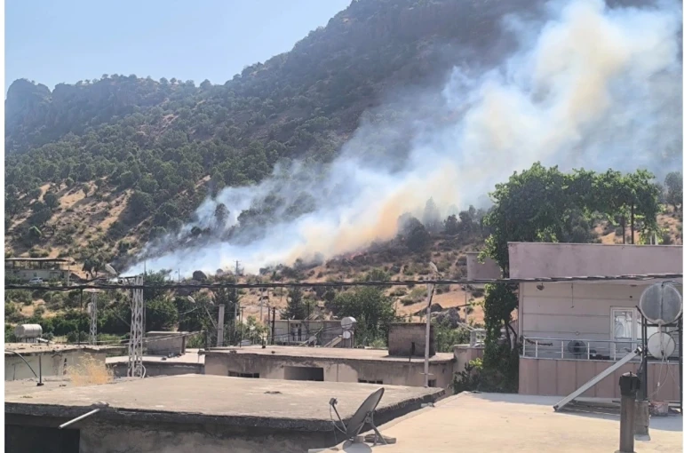 Siirt’te orman yangını büyümeden kontrol altına alındı