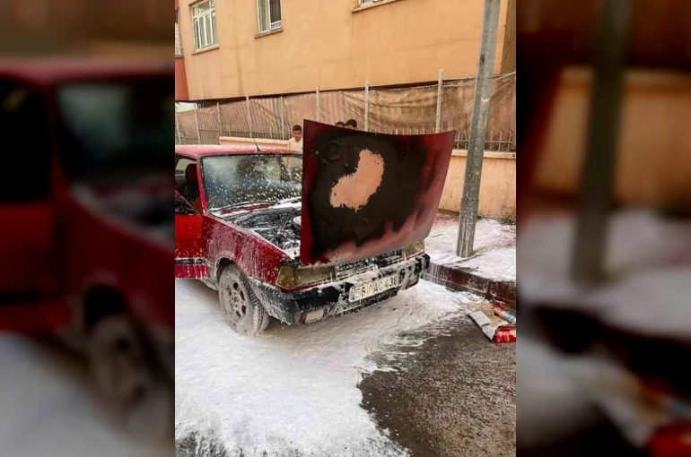 Siirt’te park halindeki otomobil alevlere teslim oldu 