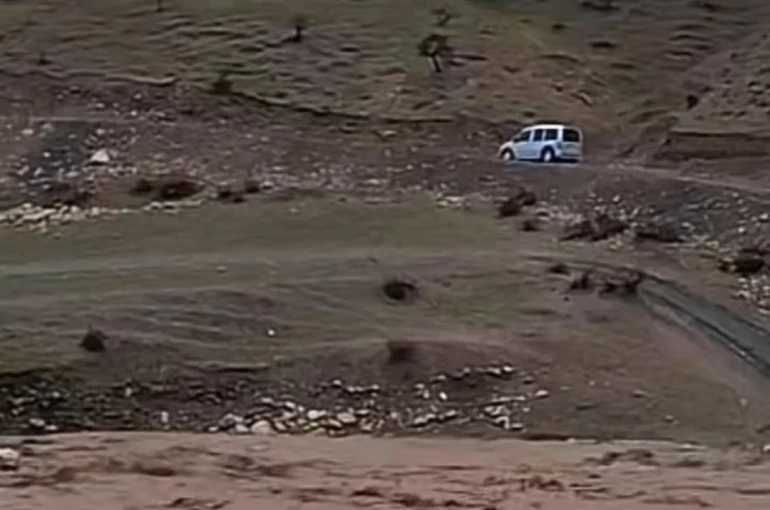 Siirt’te sağanak yağış hayvancılığı olumsuz etkiledi 