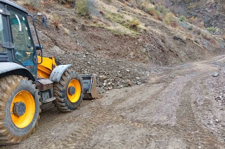 Siirt’te sağanak yağış heyelana neden oldu 