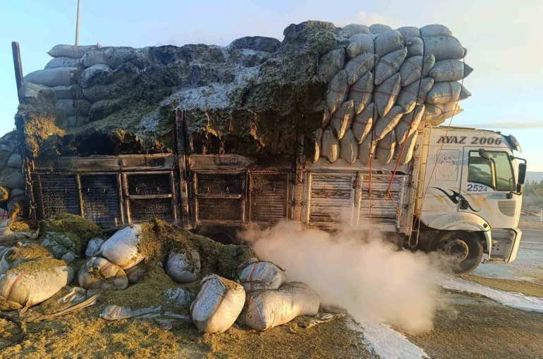 Siirt’te saman yüklü kamyonda yangın çıktı 