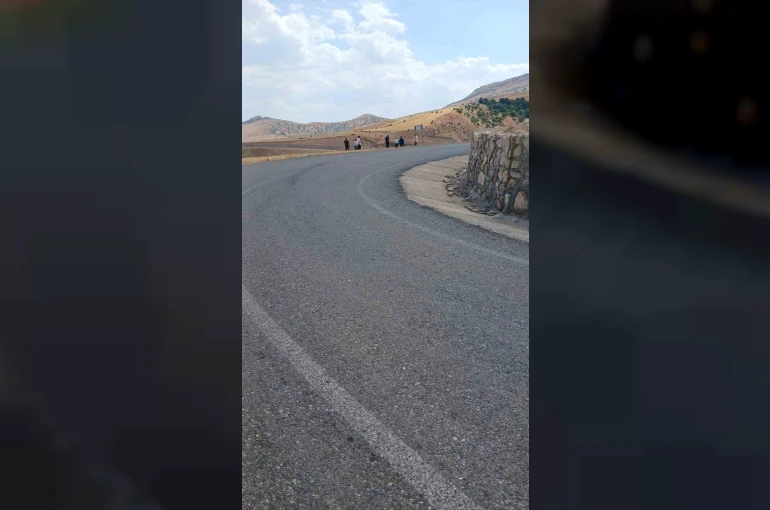 Siirt’te şarampole devrilen kamyonetteki 3 kişi yaralandı 