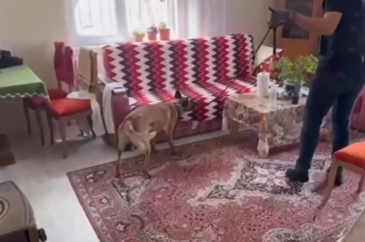 Silah tacirlerine operasyon: Çok sayıda silah ve uyuşturucu ele geçirildi 