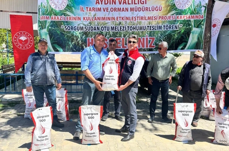 Silajlık mısıra alternatif olan sorgum otu üreticilere dağıtıldı 