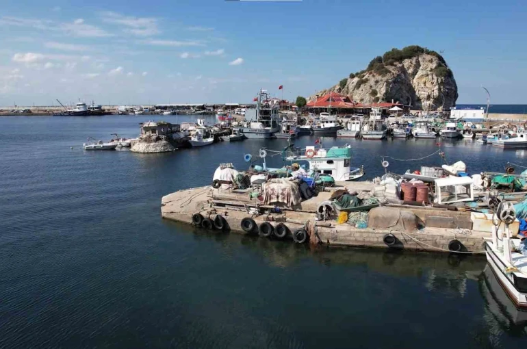 Şile’de bu yıl palamut avı beklenenin çok altında kaldı 