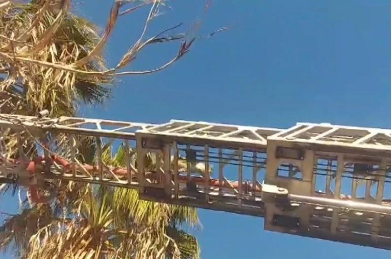 Silifke’de yürekleri ısıtan kurtarma 