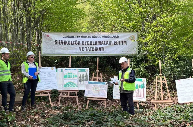 Silvikültür eğitim tatbikatı Yenice’de tamamlandı 