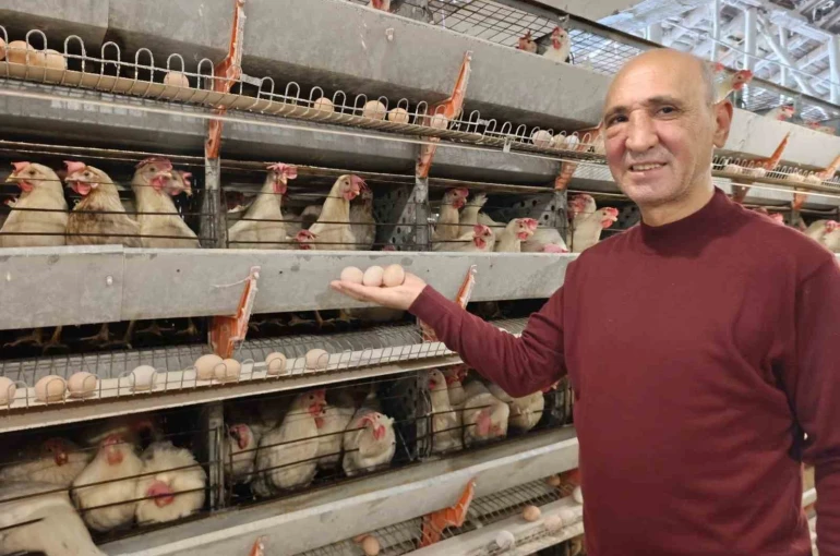 Simav’ın Kuşu beldesinde günlük 15 bin yumurta üretimi