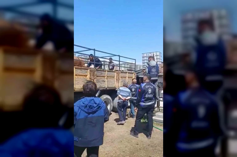 Sincan Belediyesinden kaçak ahırlara denetim 