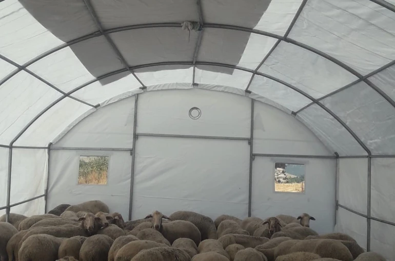Sındırgı’da depremden etkilenen üreticilere geçici hayvan barınma çadırı desteği 