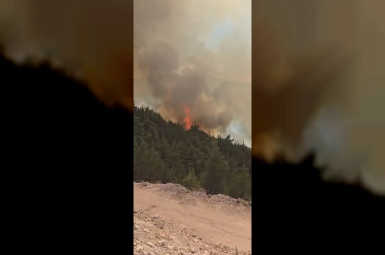 Sındırgı’da orman yangınına havadan ve karadan müdahale sürüyor