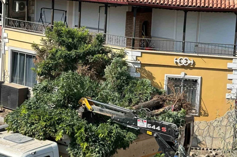 Sındırgı’da yol yapım çalışmaları sırasında ağaçlar söküldü