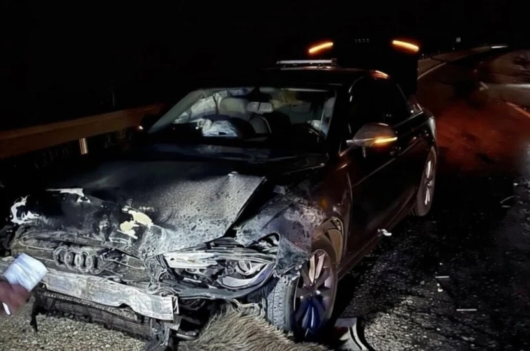 Sinop Belediye Başkanı Gürbüz’ün makam aracı domuz sürüsüne çarptı 