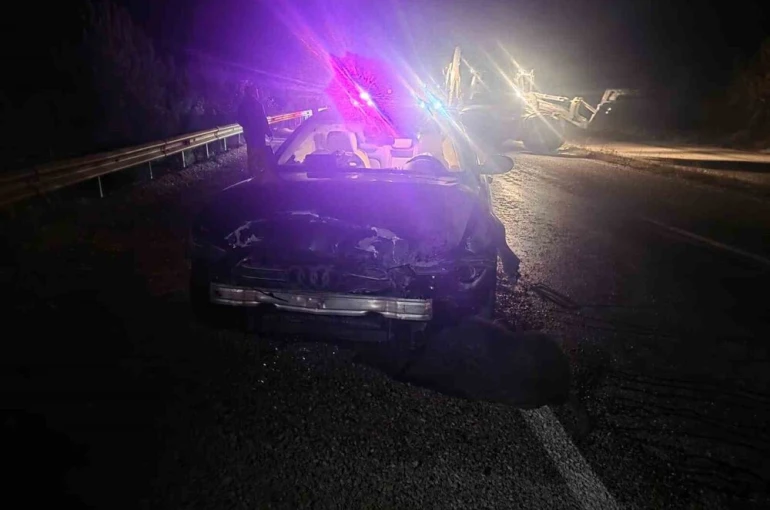 Sinop Belediye Başkanı’nın makam aracı domuz sürüsüne çarptı: Başkan kazayı yara almadan atlattı 