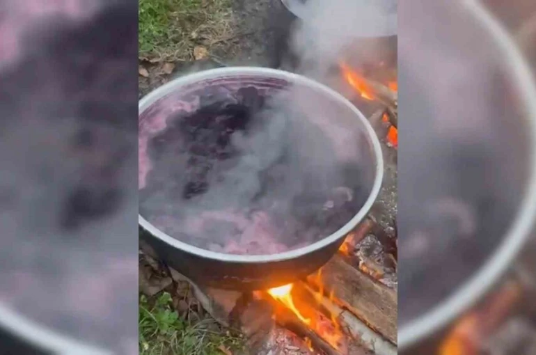 Sinop köylerinde kazanlar kaynıyor: Kışlık pekmez mesaisi 
