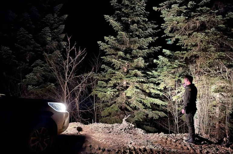 Sinop ormanları 7/24 koruma altında 