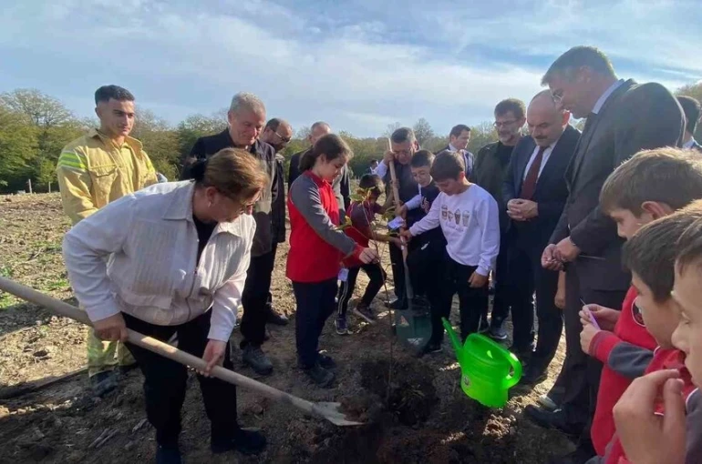 Sinop’ta 3 bin 860 fidan toprakla buluştu 