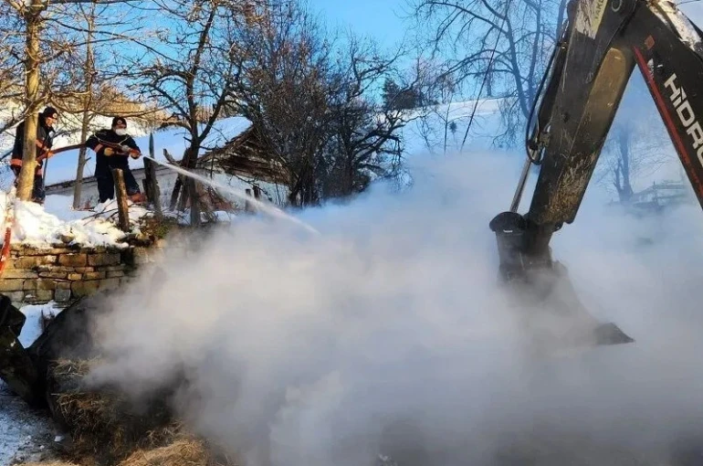 Sinop’ta ahır yangını: 9 büyükbaş hayvan telef oldu 