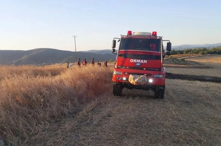 Sinop’ta anız yangını korkuttu