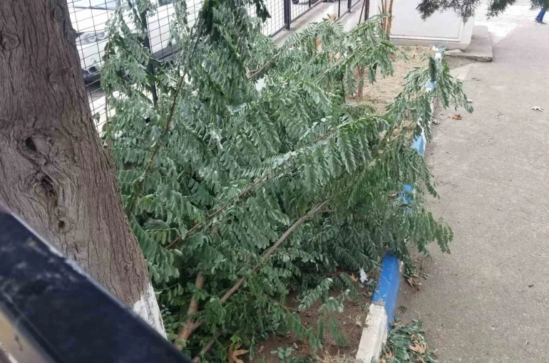 Sinop’ta fırtına 