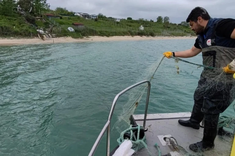 Sinop’ta kaçak avcılığa geçit yok 