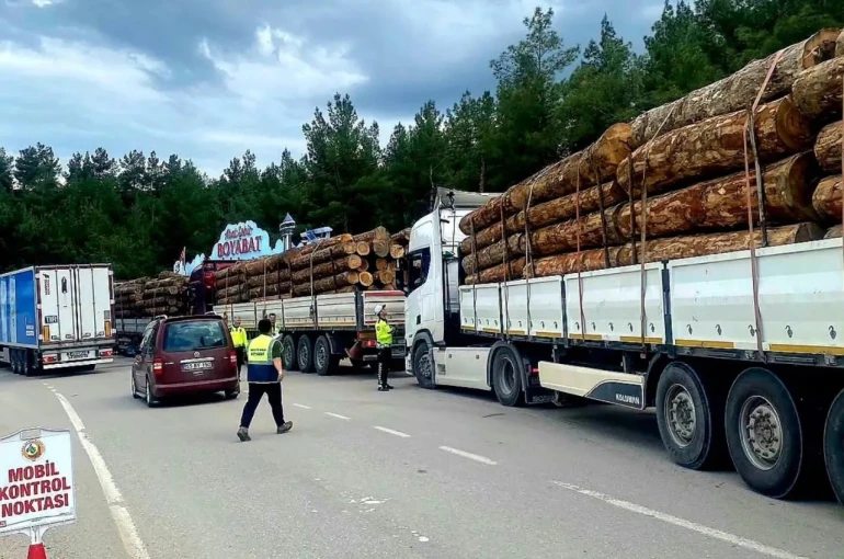 Sinop’ta orman emvali nakilleri denetimi 