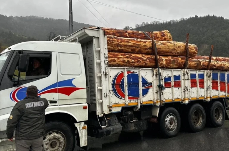 Sinop’ta orman ürünlerine 183 noktada denetim 