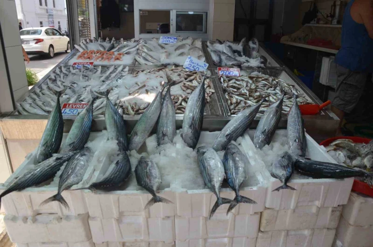 Sinop’ta torik bolluğu: Tanesi 800 TL 