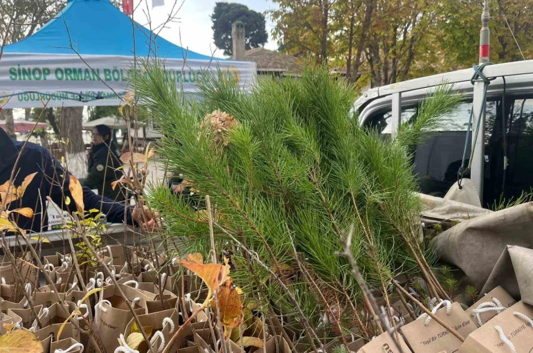 Sinop’ta vatandaşlara fidan dağıtıldı 