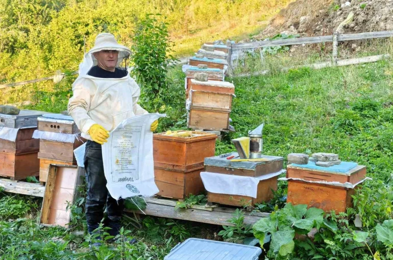 Sinop’un köyünden sofralara doğal bal yolculuğu