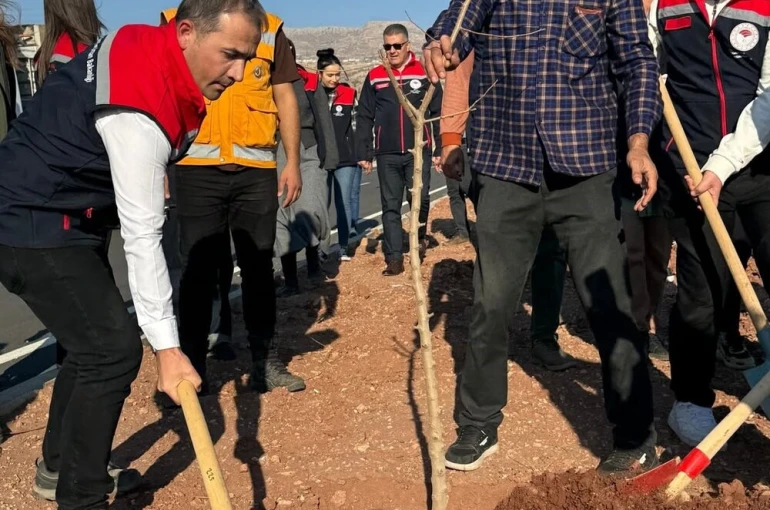 Şırnak-Cizre karayolu refüjünde 365 fidanlık ağaç dikimi yapıldı 