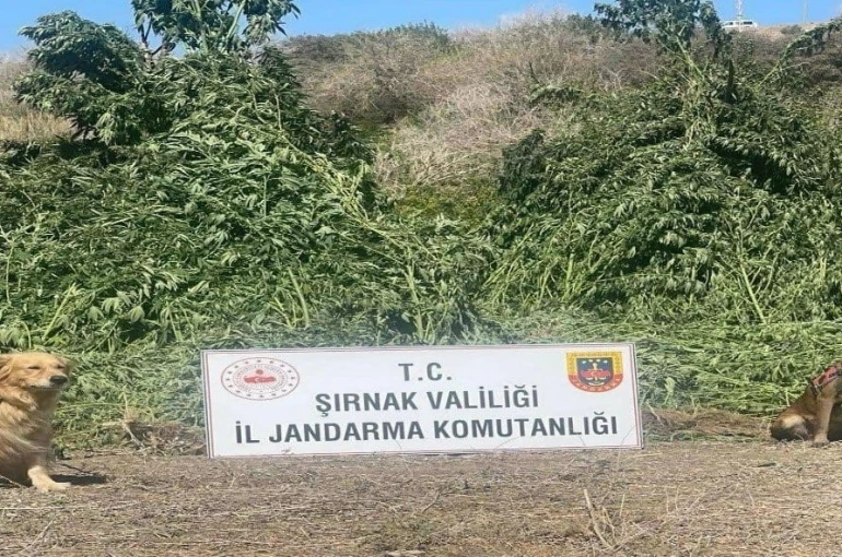 Şırnak’ta 11 milyon liralık kaçakçılık olayı önlendi