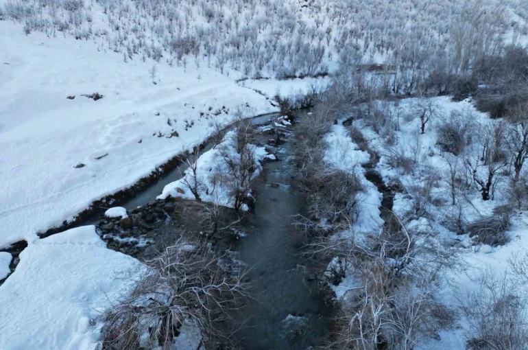 Şırnak’ta dereler buz tuttu