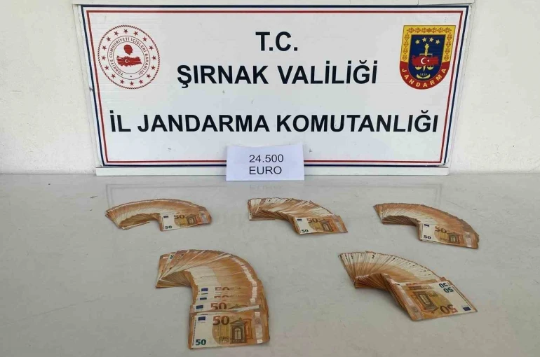 Şırnak’ta jandarmadan kaçakçılığa büyük darbe 