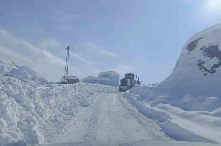 Şırnak’ta karlı yollar tek tek açılıyor 