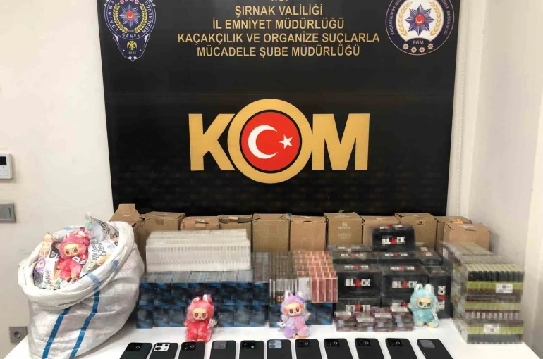 Şırnak’ta narkotik ve kaçakçılık operasyonunda 2 tutuklama 