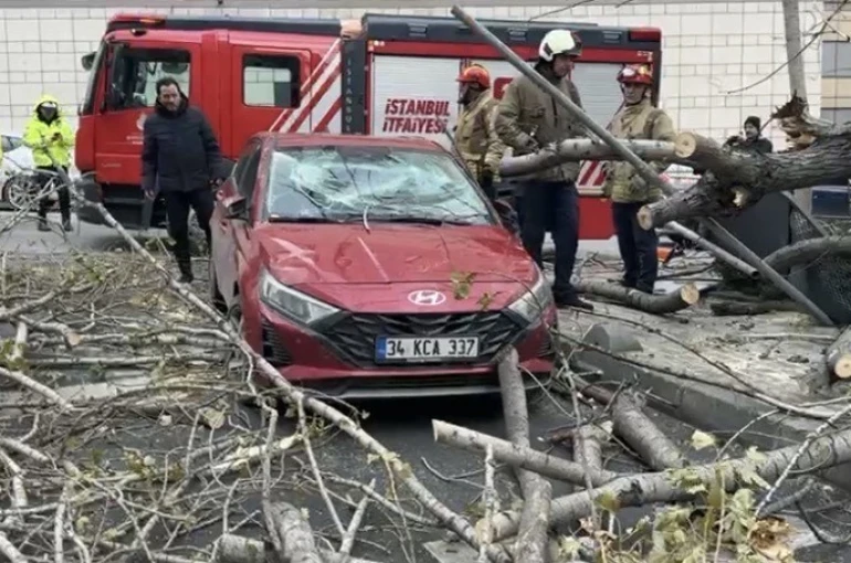Şişli’de ağaç, park halindeki aracın üzerine devrildi