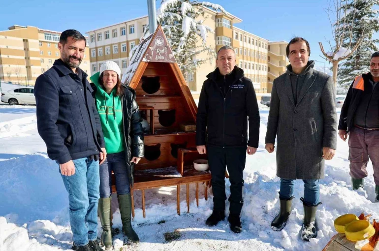 Sivas Belediyesi sokak hayvanlarını unutmadı 