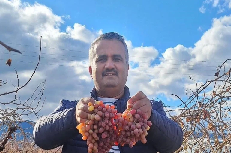 Soğuğa dayanıklı kazancı yüksek 