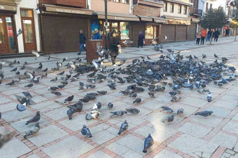 Soğukta üşüyen kuşlar için 5 kilometrelik şefkat yolculuğu 