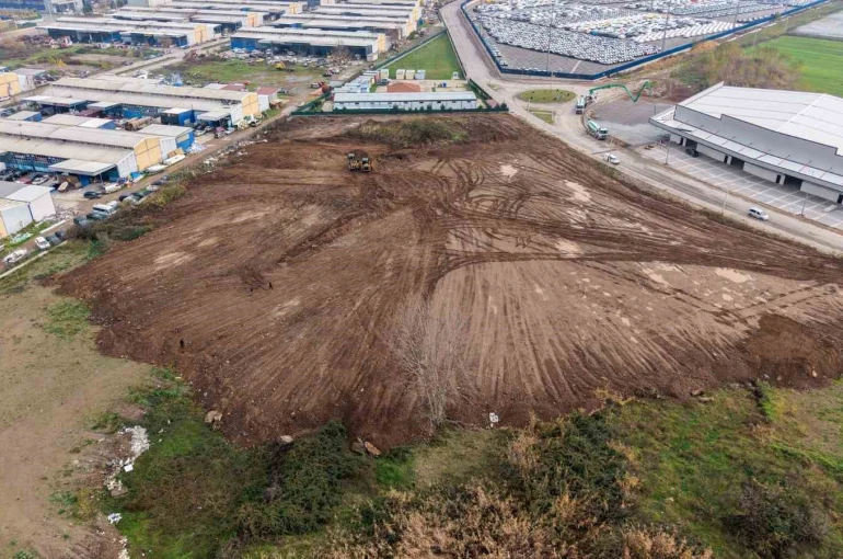 Sokak hayvanlarının yaşam alanı genişletiliyor 