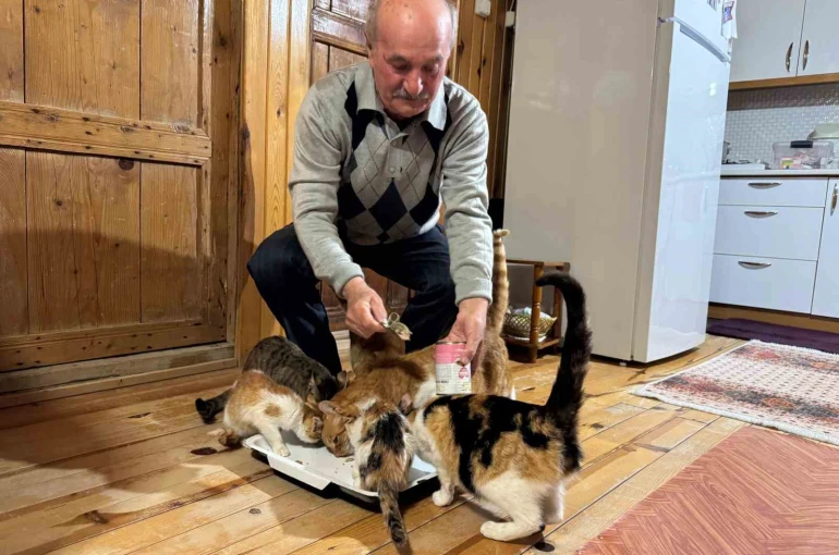 Sokak kedilerine evinin kapısını açtı, onlara yuva oldu 