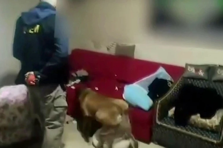 Sokak satıcılarına büyük darbe: 12 şahıs tutuklandı