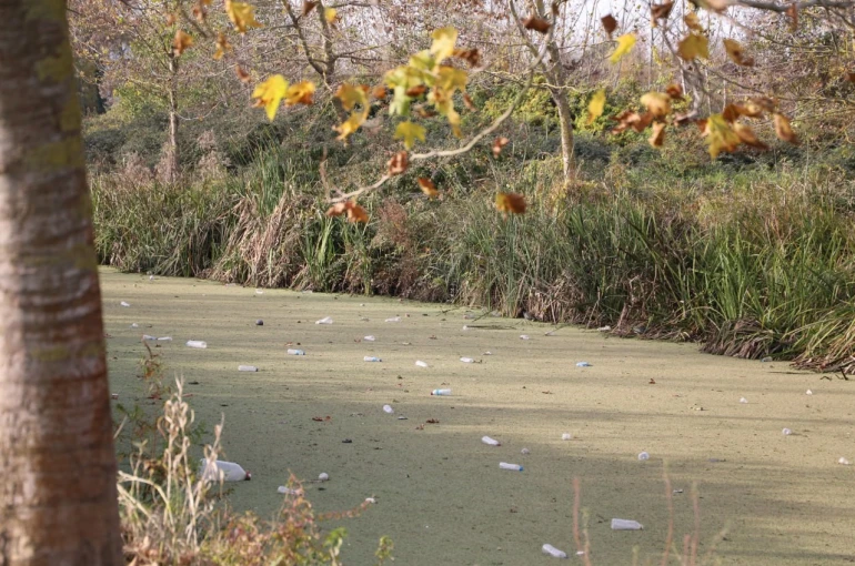 Su kanalı adeta çöplüğe döndü: Vatandaş Karasu Belediyesi’ni göreve çağırdı
