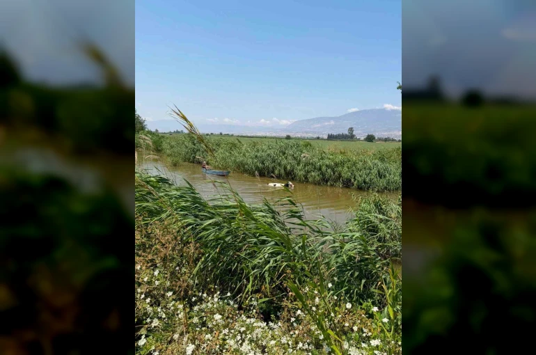 Su kanalına düşen ineği itfaiye kurtrdı 