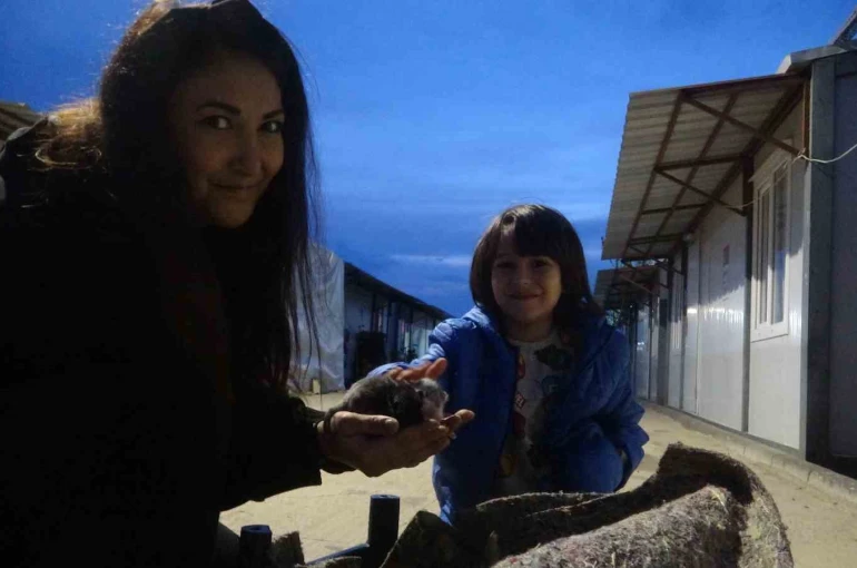 Su kanalında doğum yapan kedi ve 3 yavrusunun yeni yuvası depremzede ailenin konteyneri oldu 